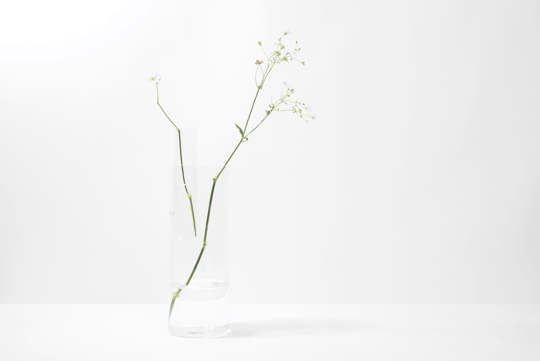 18 Great White Twigs for Vases 2024 free download white twigs for vases of organo vases minimalist intended for organo vases
