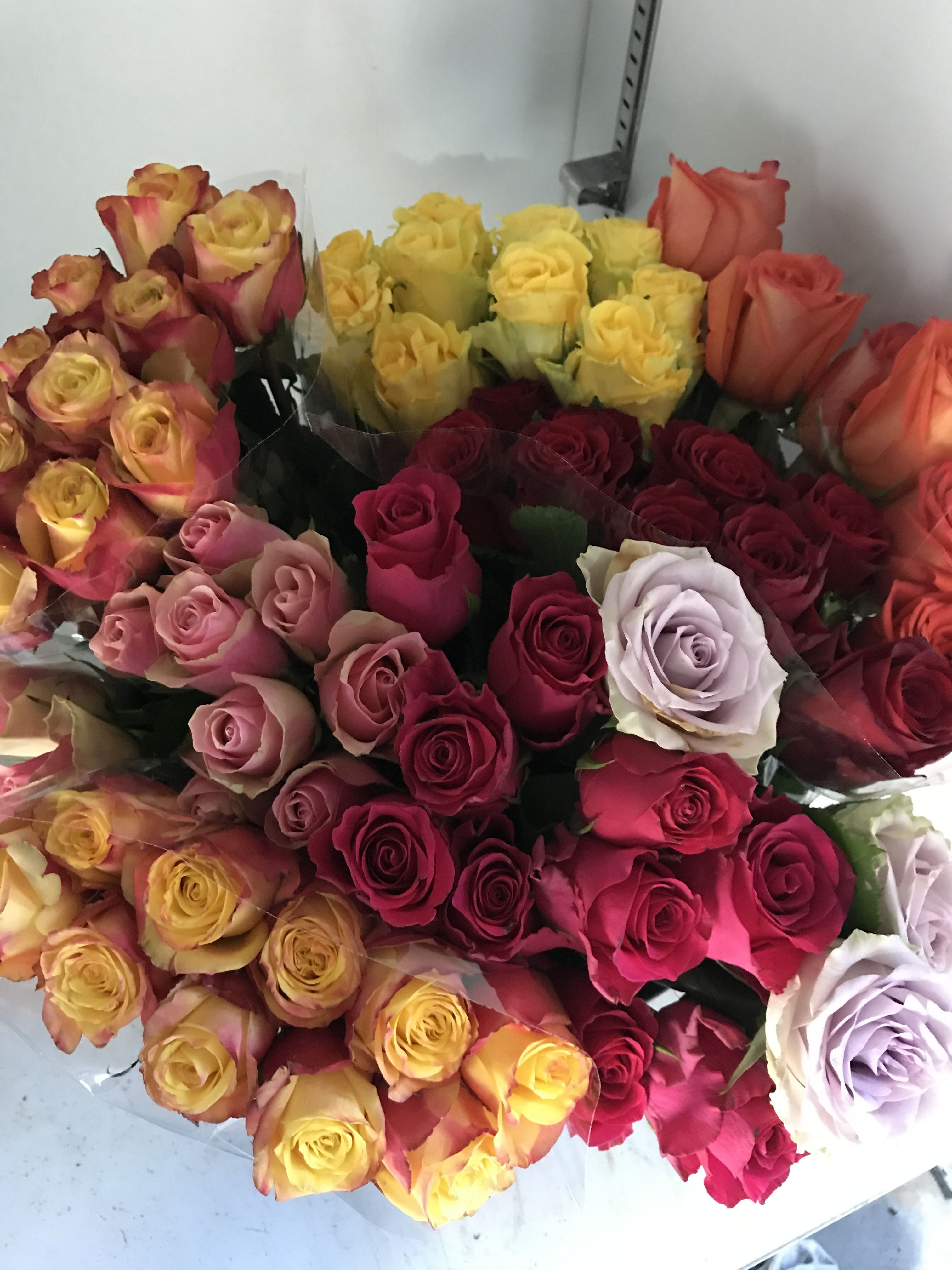 30 attractive wholesale Flowers and Vases 2024 free download wholesale flowers and vases of blooms only have a huge selection of the cheap wholesale flowers inside blooms only have a huge selection of the cheap wholesale flowers but these are not