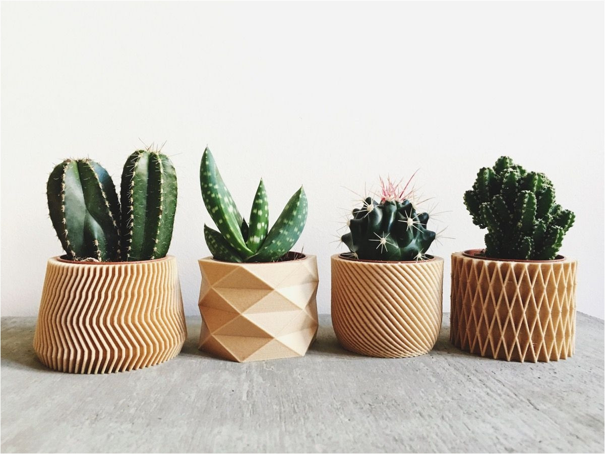28 Spectacular Wooden Flowers In Vase 2024 free download wooden flowers in vase of wooden flower pot homedesigning cool 3d printed wooden planters inside wooden flower pot homedesigning cool 3d printed wooden planters apartmentshowcase