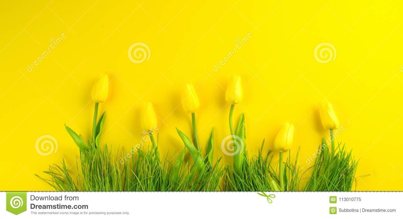 15 Awesome Yellow Polka Dot Vase 2024 free download yellow polka dot vase of easter background bright yellow spring blooming tulip flowers and intended for bright yellow spring blooming tulip flowers and fresh grass over yellow background